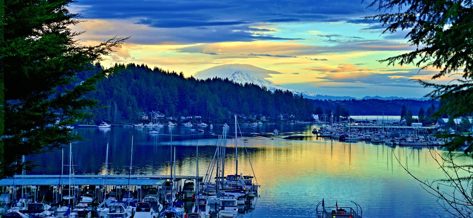 Gig Harbor Rotary Foundation logo