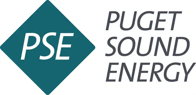 PSE Logo.png